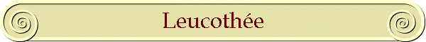 Leucothe