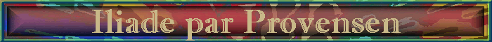 Iliade par Provensen